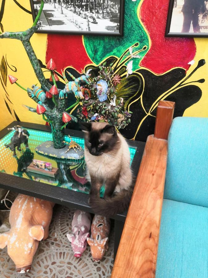 Hostal Oaxaca Magic 外观 照片