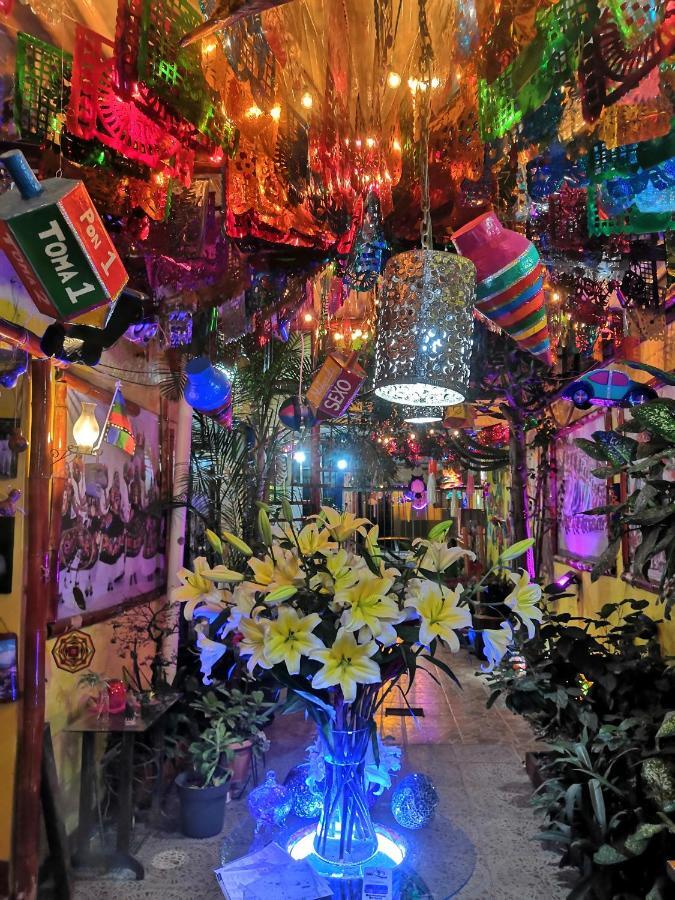 Hostal Oaxaca Magic 外观 照片