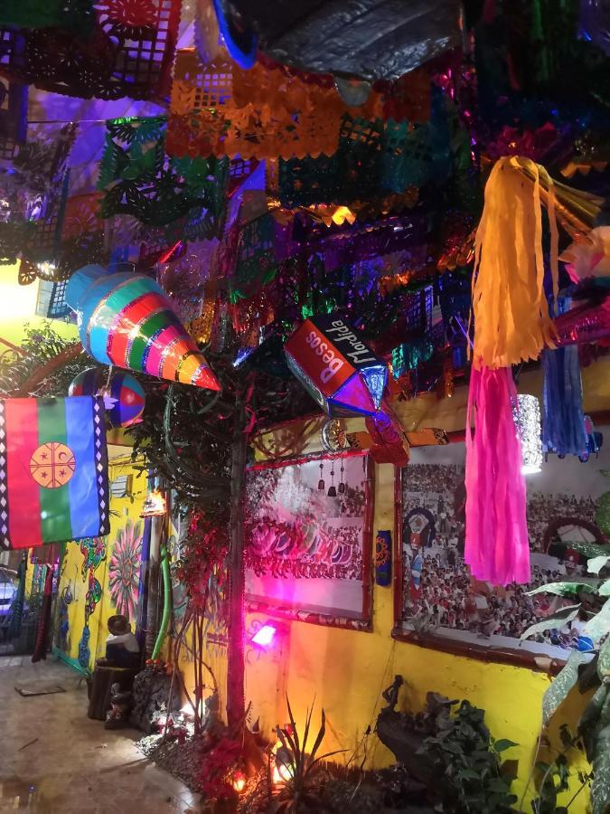 Hostal Oaxaca Magic 外观 照片