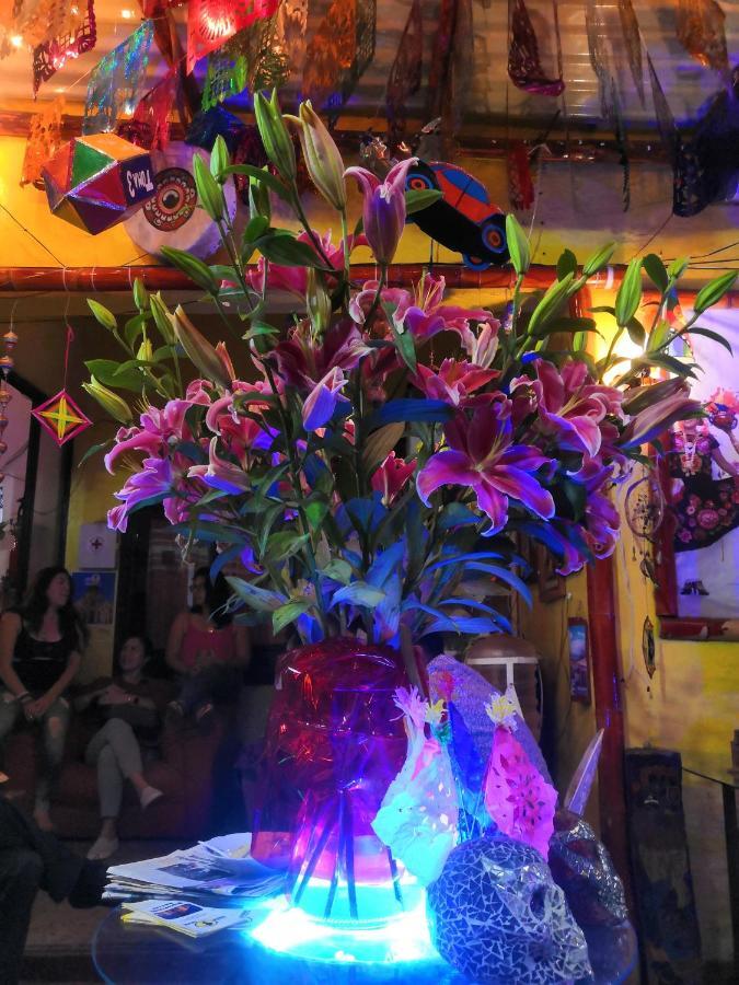 Hostal Oaxaca Magic 外观 照片